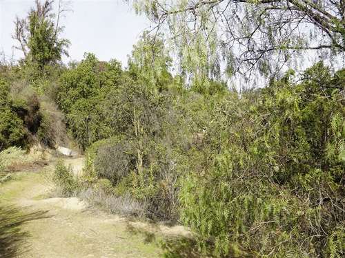 Parcela 32.000m2 En Venta En Cuesta La Dormida - Olmué.