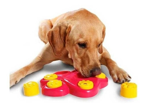 Imagen 3 de 5 de Plato De Comida Para Mascotas Con Juguetes Pata Perro