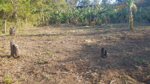 Imagen 13 de 30 de Se Vende Terreno Favorable Con Agua Y Luz Y Casita