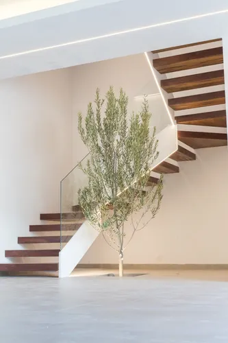 Casa Nueva En Venta De Autor Fracc Nuevo Refugio Roof Garden