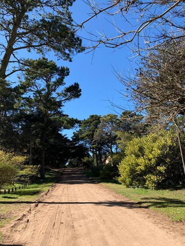 Imagen 3 de 27 de Casa 4 Ambientes En Valeria Del Mar - Pinamar