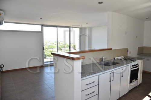 Imagen 5 de 20 de Departamento - La Plata