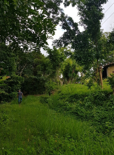 Imagen 12 de 18 de Granja En Peribeca 1.4 Ha