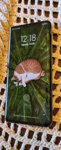 Xiaomi Mi Note 10 Pro Impecable!!! Azul Oscuro (Usado)