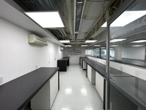 Oficina En Renta - Insurgentes Sur - Piso 4 - 361 M2
