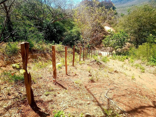 Imagen 9 de 11 de Se Vende Hermoso Terreno Lote De 3700 Metros M2 En La Cruz De Guanacaste