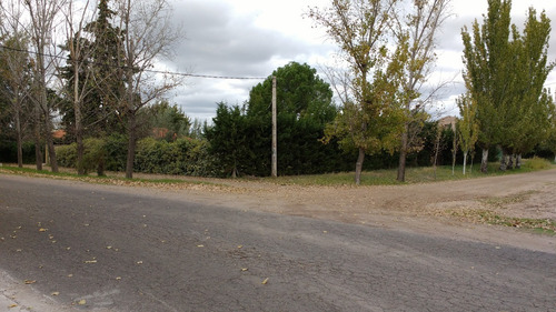 Imagen 7 de 21 de Casaquinta, Con Amplio Parque Y Terreno Cultivado, Galpones, A La Vera De Ruta Provincial 50.