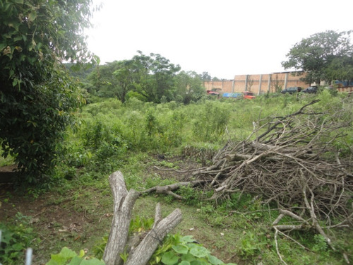 Imagem 2 de 5 de Terreno - Aparecida - Ref: 290213 - V-cs31004518