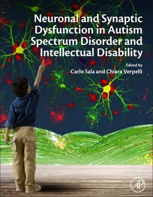 Libro Neuronal And Synaptic Dysfunction In Autism Spectru...