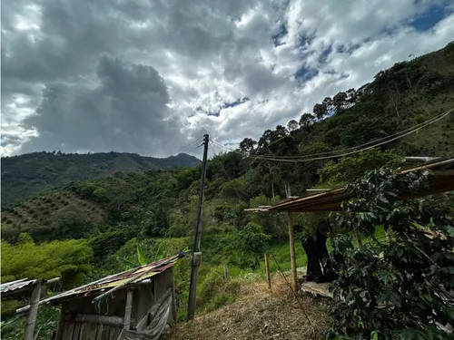 Se Vende Finca En Barragán