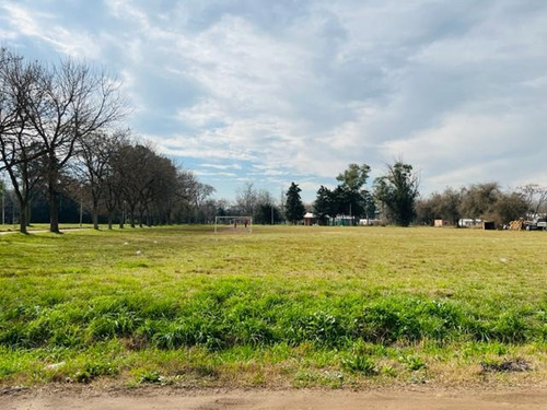 Imagen 6 de 14 de Terreno - Cañuelas