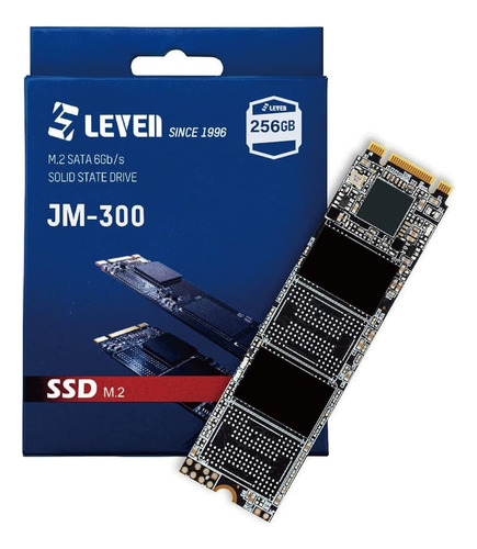 Leven Jm600 M.2 Ssd 256gb 3d Nand Sata Iii 6 Gb/s, M.2 (22 8