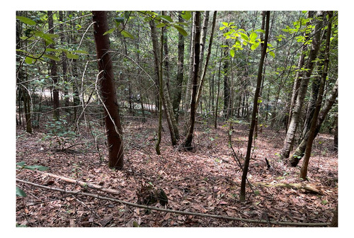 Terreno En Venta En Temascaltepec.