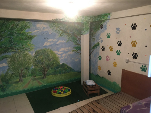 Imagem 8 de 10 de Hotel Para Cães Pequeno E Médio Porte.