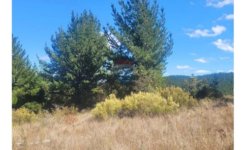 Parcela En Yumbel-rere,sector Santa Rosa