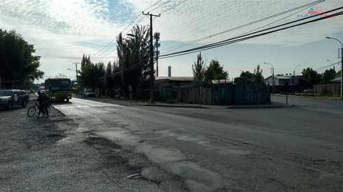 Sitio En Curicó