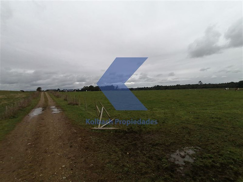 Agrícola Ganadero En Venta En Los Muermos
