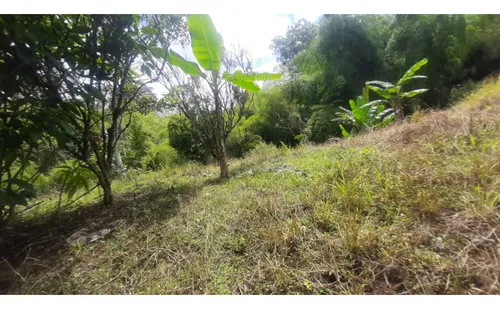 Se Vende Finca Vda La Julia Montenegro Quindío