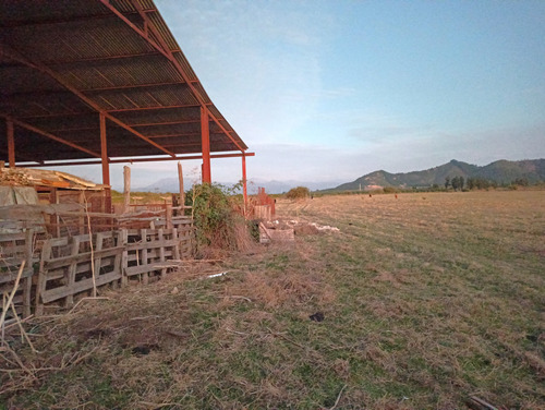 Propiedad Agrícola En Venta, Campo De 31,3 Ha, Rio Claro