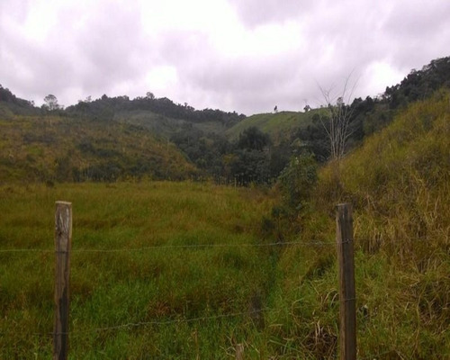 Imagem 17 de 30 de Fazenda - 0195 - 32820324