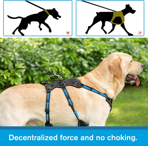 Arnés Para Perro Coodeo Ajustable Con Asa