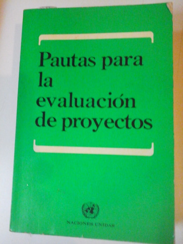 Pautas Para La Evaluacion De Proyectos  - L287