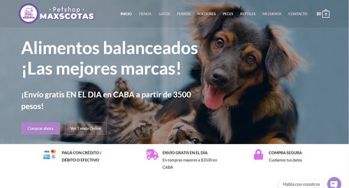 Imagen 4 de 10 de Sitio Web En 7 Dias Tienda Virtual Diseño Web Pagina Web