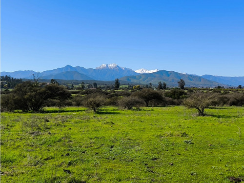 Se Vende Parcela Piedra Amarilla Los Laureles, Limache