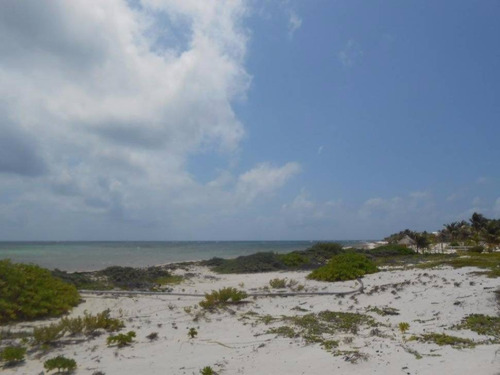 Imagen 7 de 16 de Oportunidad!! Terreno Frente Al Mar Mahahual-rio Indio P2699