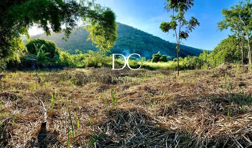 Imagem 5 de 5 de Terreno - Te00094 - 69503910