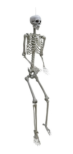 Imagen 8 de 9 de Decoracion Esqueleto Halloween 1.85 Mts Extremidades Moviles