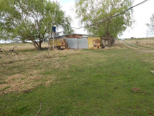 Imagen 11 de 12 de Vendo Linda Chacra Casa A Reciclar, Galpón Y Costa Cañada Cardozo