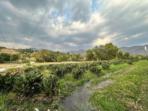 Terreno Con Canal De Riego Y Ave De Paraíso En Tiloxtoc