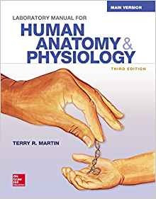 Laboratory Manual For Human Anatomy  Y  Physiology Main Vers
