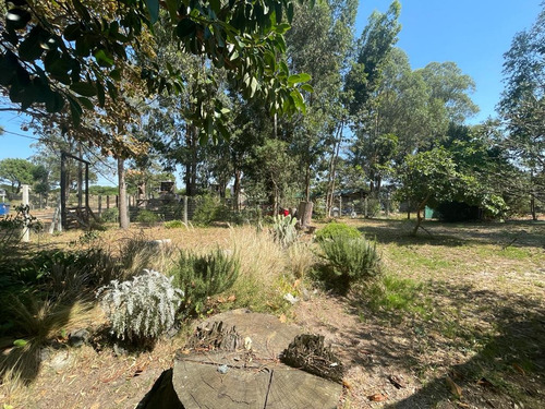 Guazuvirá Frente A La Playa, De La Principal A La Derecha Dos Cuadras