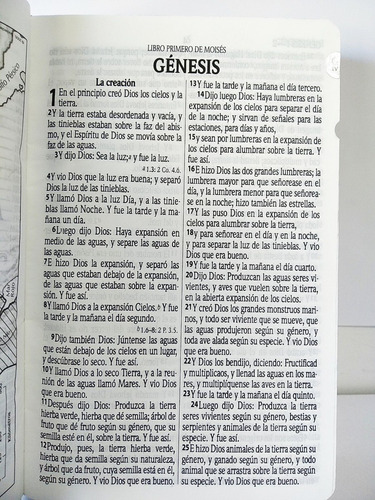 Imagen 7 de 10 de Biblia Rvr1960 Let. Grande Imitac. Piel Blanco Flor E Índice
