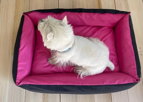 Moises para perros lavables sales