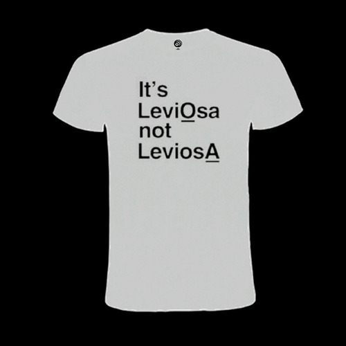 Polera Leviosa Harry Potter Algodón