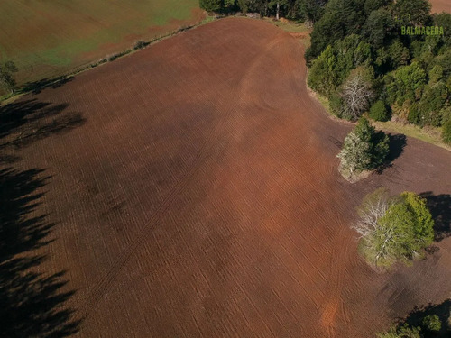 Agrícola En Venta En Fresia