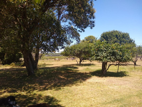 Imagen 3 de 19 de Chacra 4 Hectareas - Los Cardales - Ruta 39