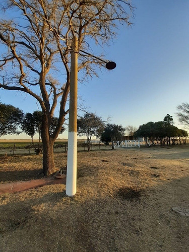 Imagen 16 de 30 de Campo En Córdoba (general Deheza)