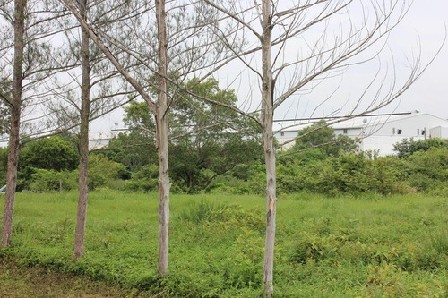 Venta Terreno Tuxpan Ver, Carretera Tuxpan-tamiahua 5 Has