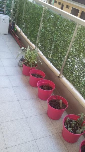Imagen 2 de 18 de Departamento - Villa Crespo - Impecable