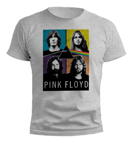 Remera Pink Floyd Dark Side Of The Moon Gris Melange