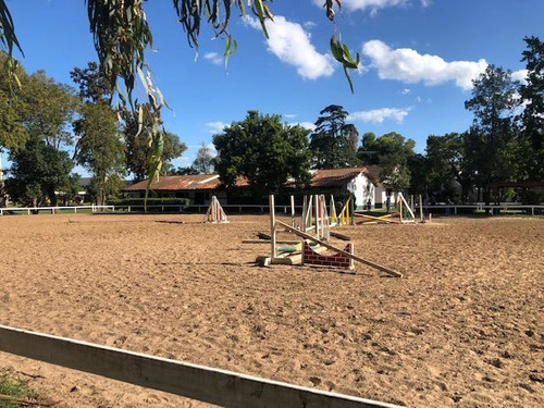 Imagen 7 de 30 de Terreno Interno - Haras Santa María / El Molino Sur