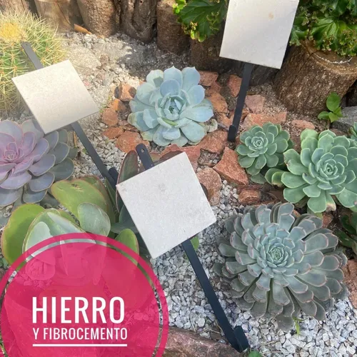 Percheros en mosaiquismo sale