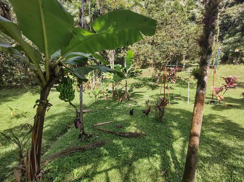 Imagem 2 de 28 de Chácara Santa Maria Das Flores!!!ótima Localização, Próximo Ao Centro Histórico De Morretes - R1508