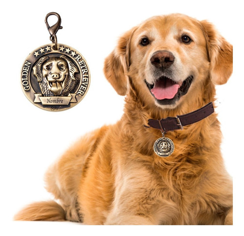Placa Perro Personalizada Inoxidable Razas Medalla Grande Color Golden Retriever