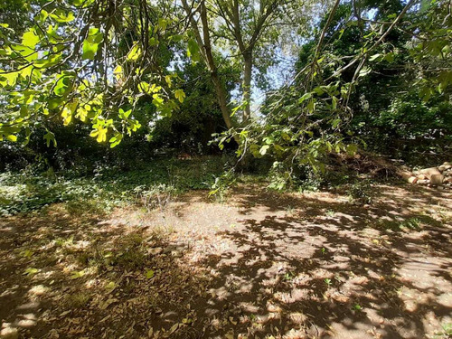 Venta Lote Barrio El Sosiego Reserva Forestal, Mar Del Platacentury 21 Recanatti Ofrece Para La V...