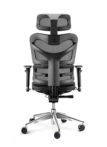Imagen 5 de 5 de Silla Presidencial Ergohuman Giratoria Ajustable Base Cromo